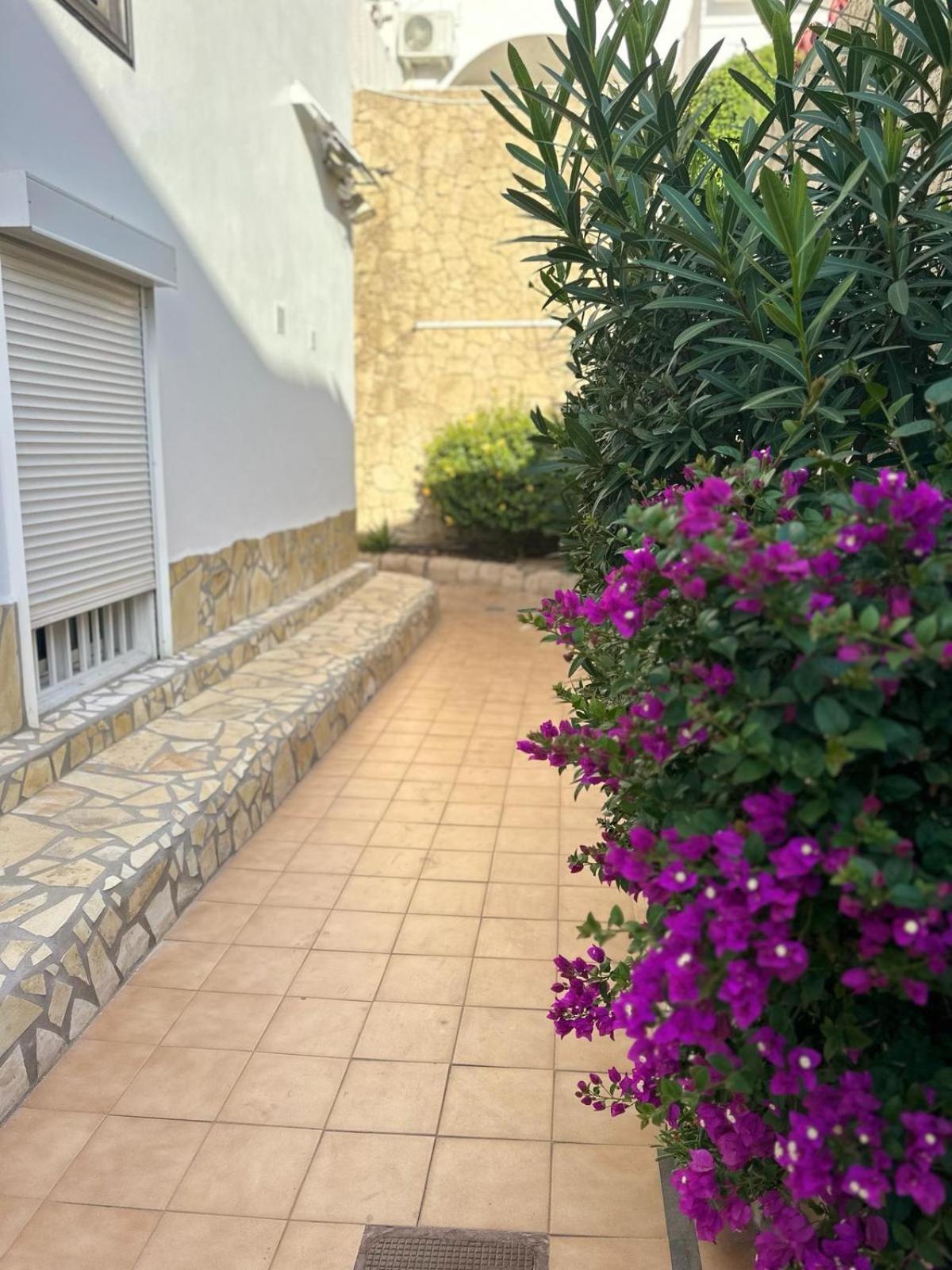 Sunny Sea View Apartment Center Of Las Americas Playa de las Americas  Exteriör bild