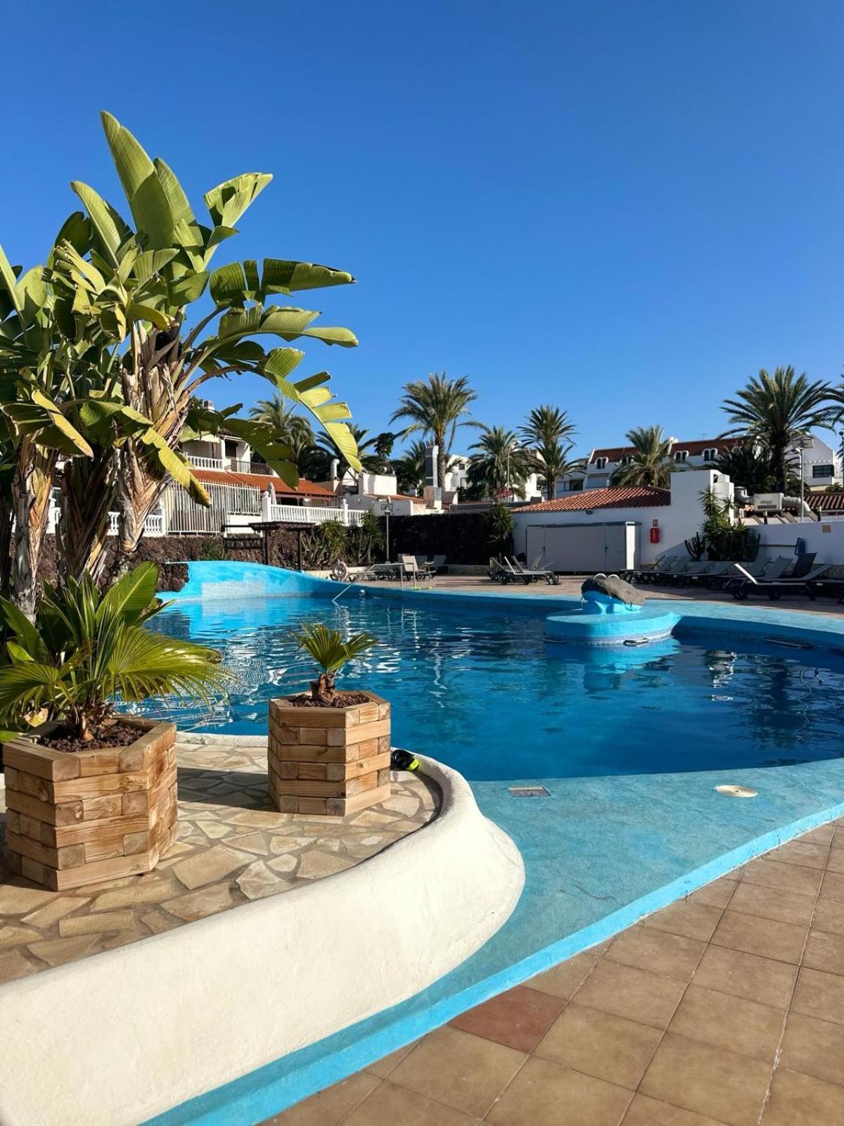 Sunny Sea View Apartment Center Of Las Americas Playa de las Americas  Exteriör bild