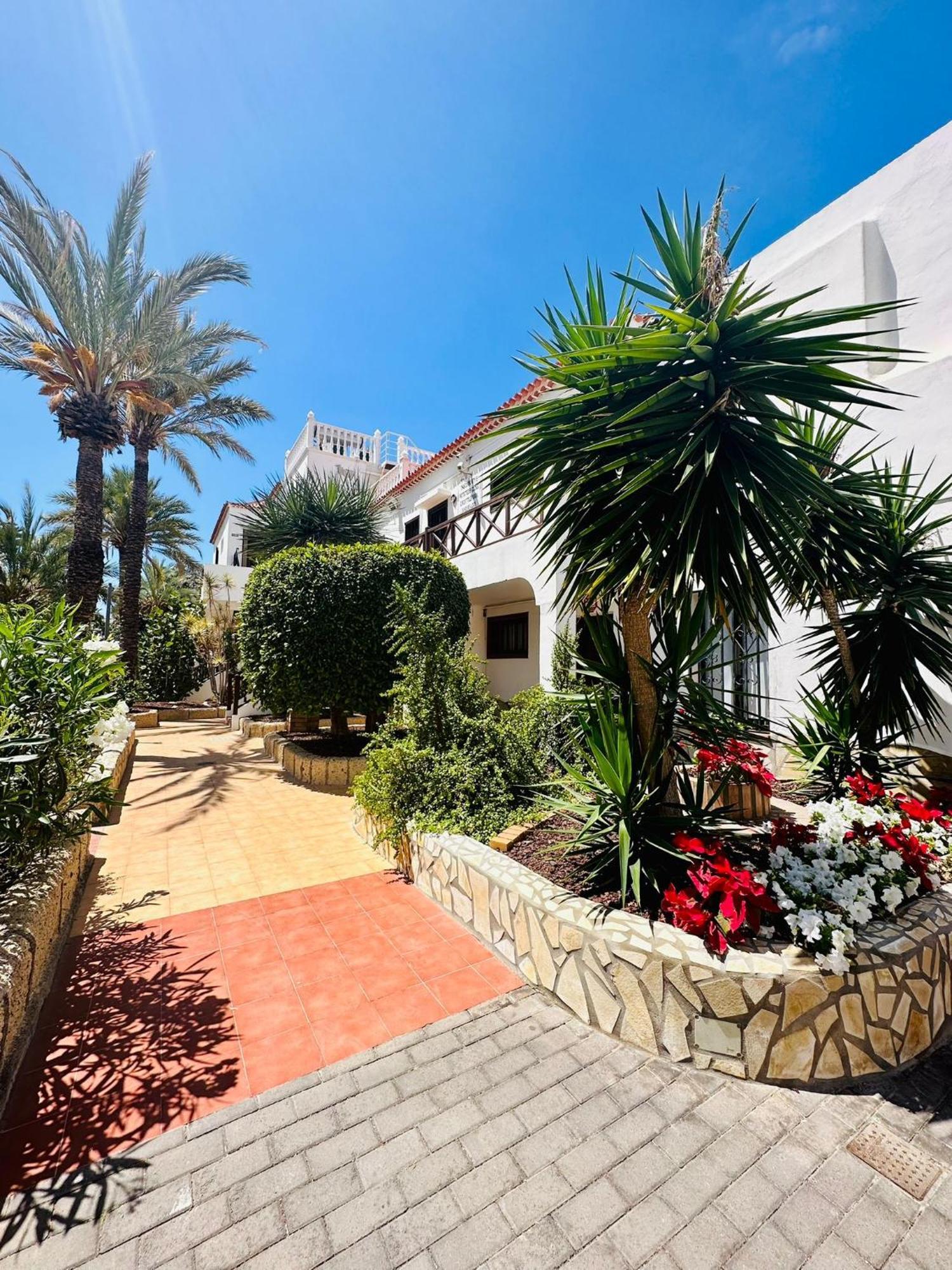Sunny Sea View Apartment Center Of Las Americas Playa de las Americas  Exteriör bild