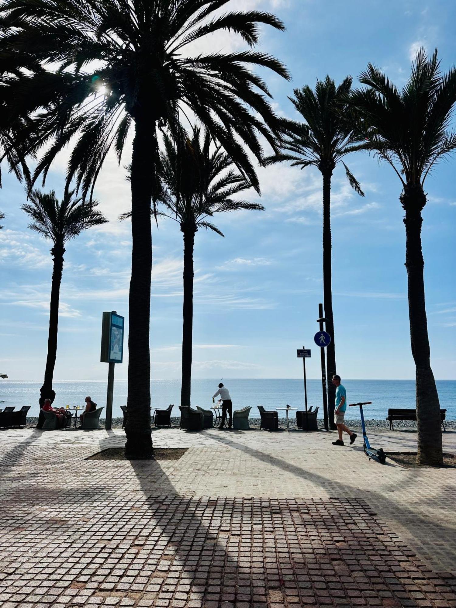 Sunny Sea View Apartment Center Of Las Americas Playa de las Americas  Exteriör bild